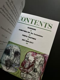 Image 2 of Brian Evenson's SALT LAKE CITY