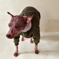 Image 1 of Sweat Suit - Olive Green 