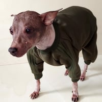 Image 2 of Sweat Suit - Olive Green 