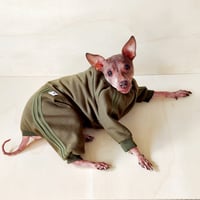 Image 3 of Sweat Suit - Olive Green 