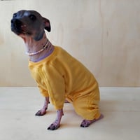 Image 1 of Sweat Suit - Yellow