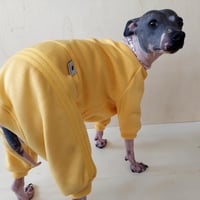 Image 3 of Sweat Suit - Yellow