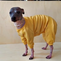 Image 4 of Sweat Suit - Yellow