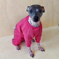 Image 2 of Sweat Suit - Cerise