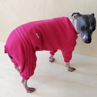 Image 3 of Sweat Suit - Cerise