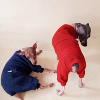 Image 1 of Sweater Sweat Suit - Navy or Red 