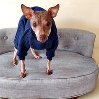 Image 2 of Sweater Sweat Suit - Navy or Red 