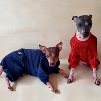 Image 3 of Sweater Sweat Suit - Navy or Red 