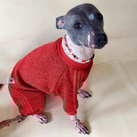 Image 4 of Sweater Sweat Suit - Navy or Red 