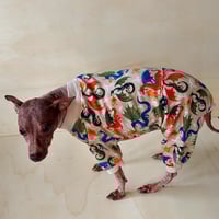 Image 4 of Jersey Jumper -  Dragon 