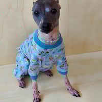 Image 1 of Jersey Jumper - Light Blue Floral 