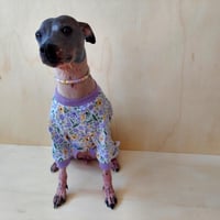 Image 1 of Jersey Jumper - Lavender Daisy 