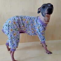 Image 2 of Jersey Jumper - Lavender Daisy 