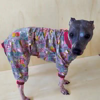 Image 1 of Jersey Jumper - Gray/Cerise