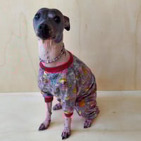 Image 3 of Jersey Jumper - Gray/Cerise