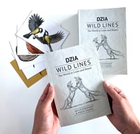 Image 1 of Krank " WILD LINES "