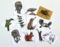 Image 1 of Postcards
