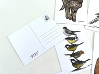 Image 4 of Postcards