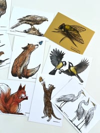 Image 3 of Postcards