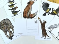 Image 5 of Postcards