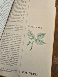 Image 4 of CZ & Elvin’s Week by Week Garden Guide with Notes and Ephemera for Mixed Media