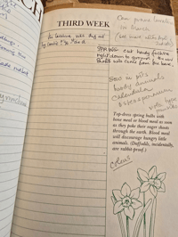 Image 9 of CZ & Elvin’s Week by Week Garden Guide with Notes and Ephemera for Mixed Media