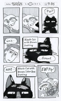 Image 1 of Daily Comic 9/23: Black Cat with Brown Dusting
