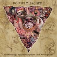 Image 2 of Lymphatic Phlegm - Roughly Excised: Putrefindings, Morbidescriptions And Necrognoses 12" vinyl LP