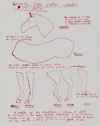 Image 1 of PARTES DE UN CABALLO - PRINT 93