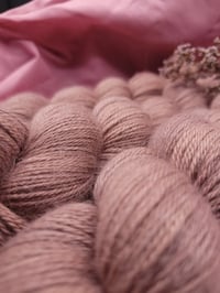 Image 2 of Anémone duJapon - Maya Fing