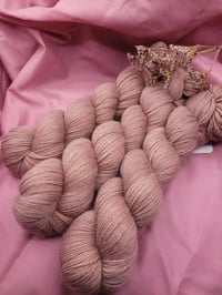 Image 4 of Anémone duJapon - Maya Fing