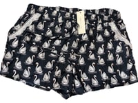 Image 7 of FRANCHESCA’S- LOOSE SHORTS