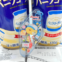 Image 6 of everyday charm-core translucent keychains (Choice/Blind Pack) 