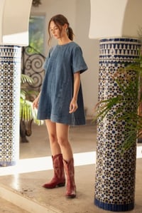 Curvy DIVA Denim Swing Dress