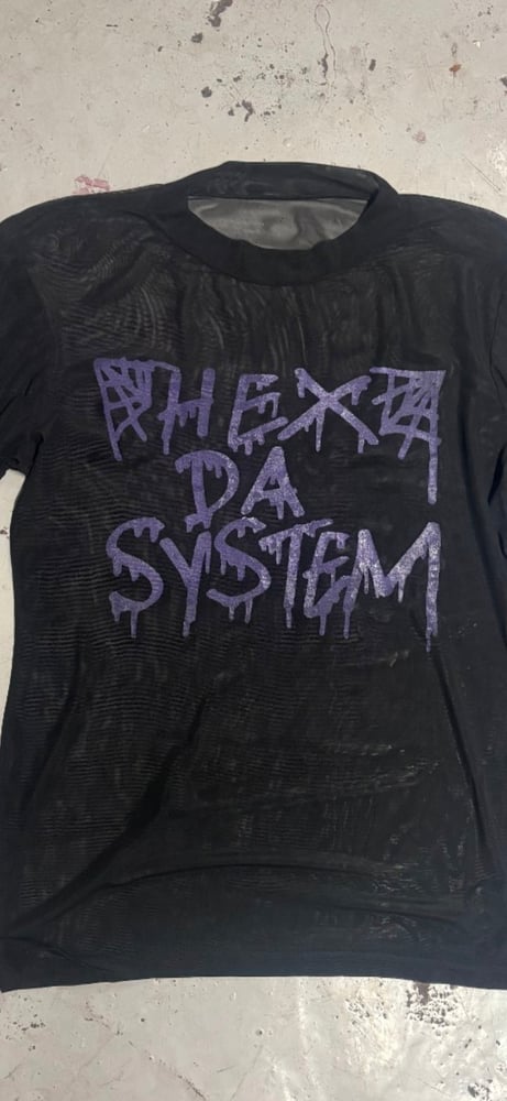 Image of Hex da system mesh