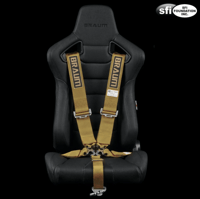 Image 1 of 5 Pt. SFI Certified BRAUM Racing Universal Harness (Single)