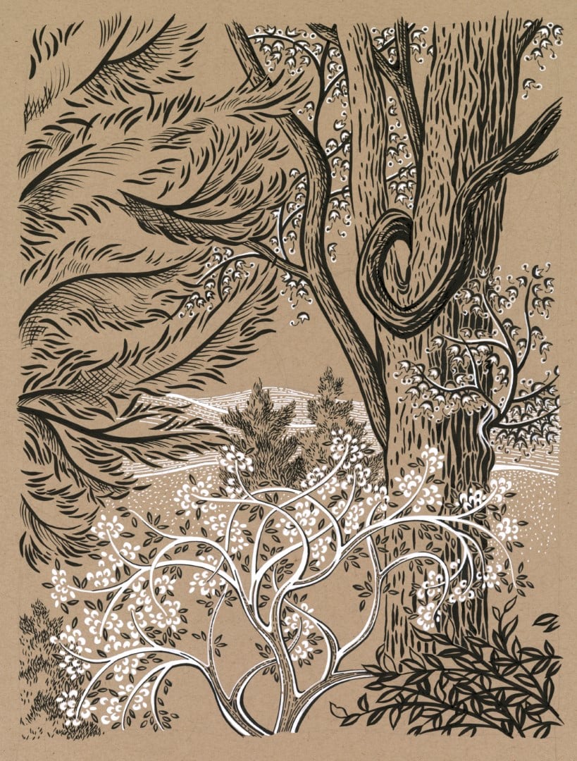 Image of Original Art, To the Right of Door, Price Varies