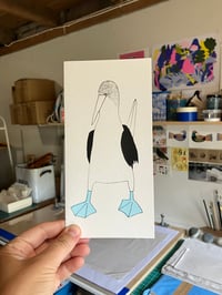 Blue Footed Booby card