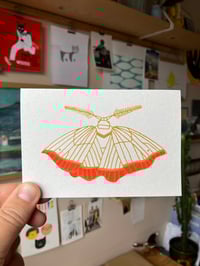 Image 1 of Dark Bordered Beauty Moth Card