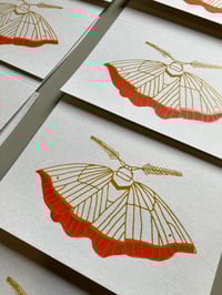 Image 2 of Dark Bordered Beauty Moth Card