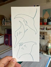 Image 1 of Manta Rays card