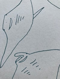 Image 2 of Manta Rays card