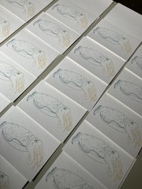Image 3 of Cuttlefish cards 