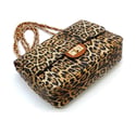 2 IN 1 Leopard Crossbody Bag