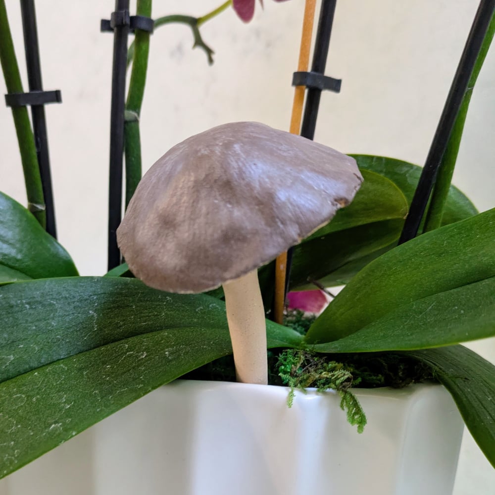 Image of Decorative Mushroom Plant Stake-Choose your Color