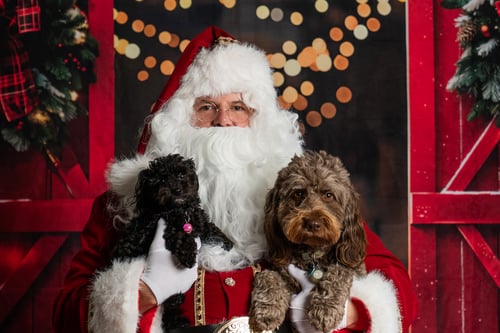 Image of Placentia Photos with Santa - Saturday, Dec 6th 2025