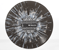 Image 5 of  REVENGE - Behold.Total.Rejection (12" Gatefold LP w/ Booklet)
