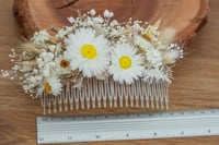 Image 2 of Hair Comb 4 - Larger Comb