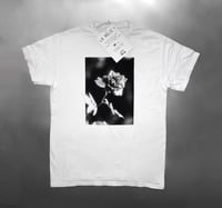 Image 7 of Rose T-shirt (LS RELIC 1)