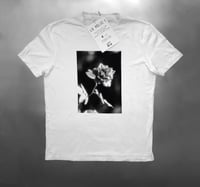 Image 8 of Rose T-shirt (LS RELIC 1)